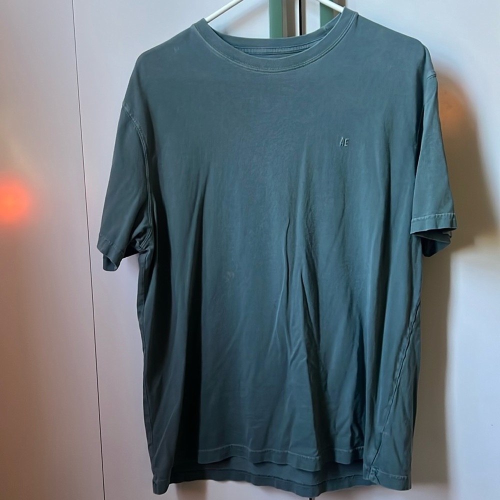 Sage American eagle Tshirt